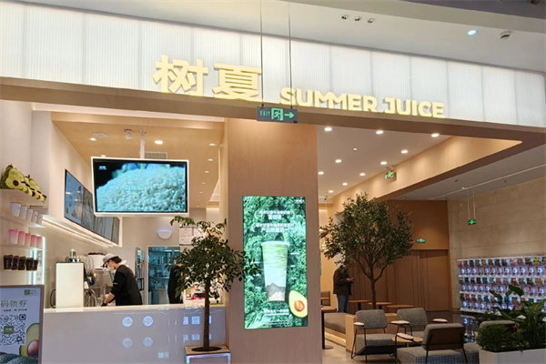 树夏 树夏