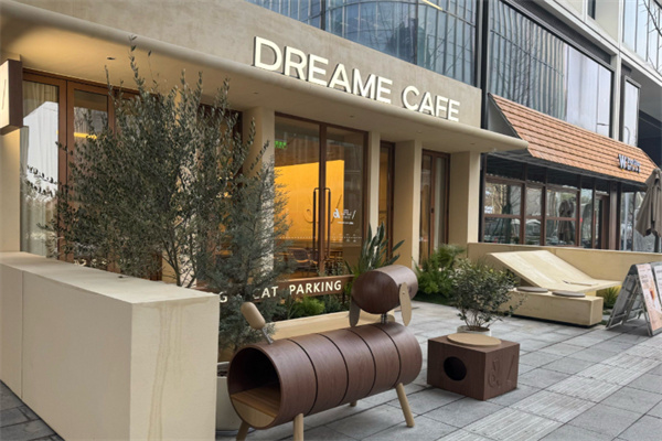 DREAMECAFE PRO 追觅咖啡