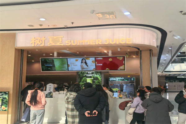 树夏 树夏