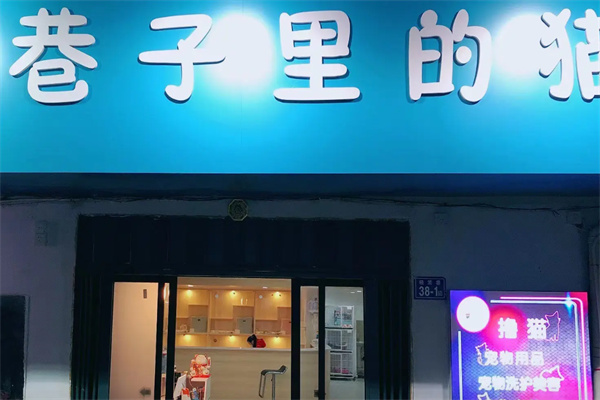 巷子里的猫·猫咖