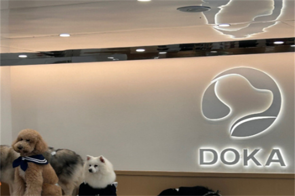 DOKA狗咖·宠物友好咖啡厅 DOKA狗咖·宠物友好咖啡厅