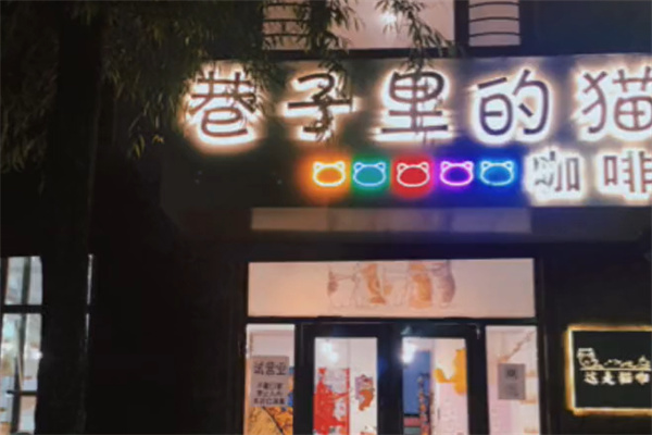 巷子里的猫·猫咖