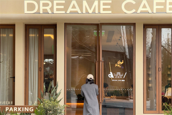 DREAMECAFE PRO 追觅咖啡
