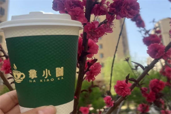 拿小咖 拿小咖