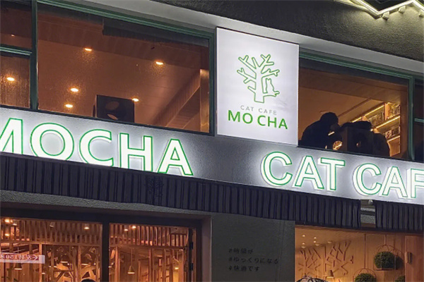 MOCHA猫咪咖啡 MOCHA猫咪咖啡