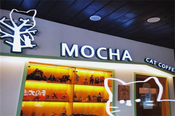 MOCHA猫咪咖啡 MOCHA猫咪咖啡
