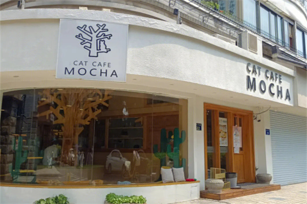 MOCHA猫咪咖啡 MOCHA猫咪咖啡