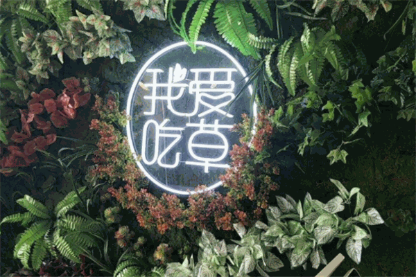 我爱吃草