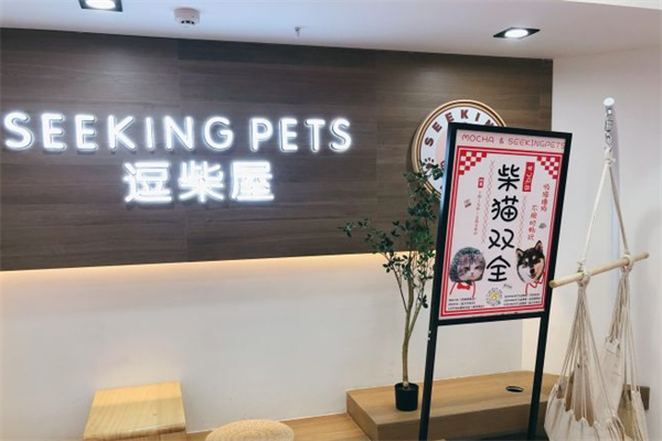 SeekingPets·逗柴屋·柴犬体验