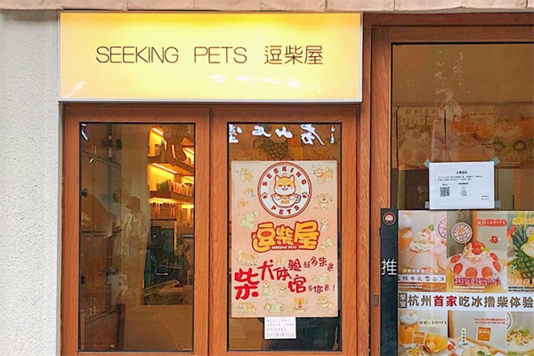 SeekingPets·逗柴屋·柴犬体验