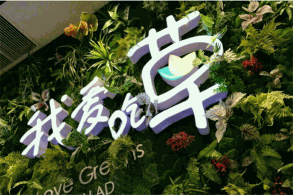 我爱吃草