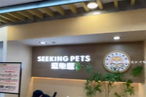SeekingPets·逗柴屋·柴犬体验