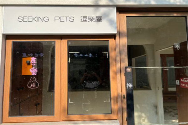SeekingPets·逗柴屋·柴犬体验
