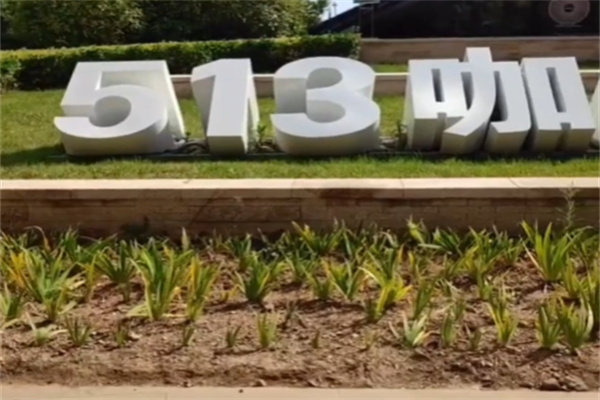 舒海513咖啡