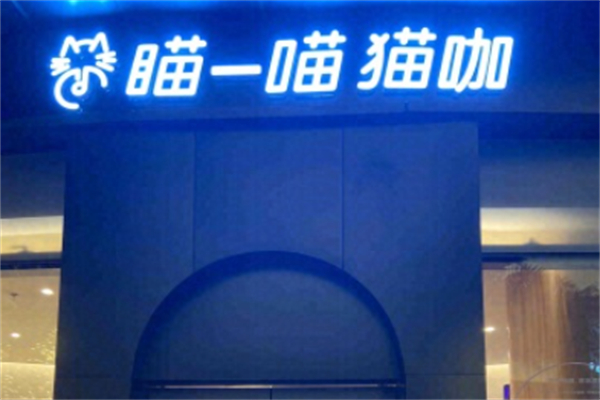 瞄一喵猫咖 瞄一喵猫咖