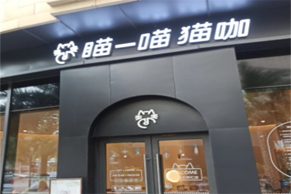 瞄一喵猫咖 瞄一喵猫咖