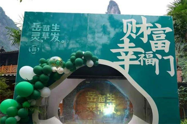 岳灵苗草生发养发馆 岳灵苗草生发养发馆