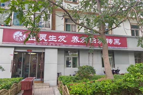 岳灵苗草生发养发馆 岳灵苗草生发养发馆