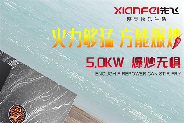 先飞厨卫电器 先飞厨卫电器