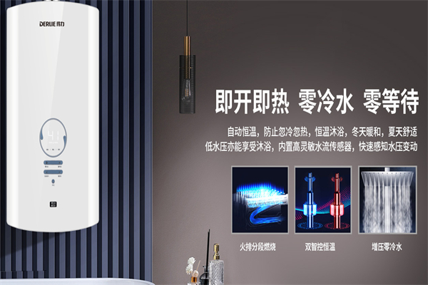 得力厨卫电器 得力厨卫电器