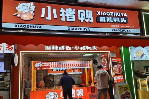 小猪鸭 小猪鸭