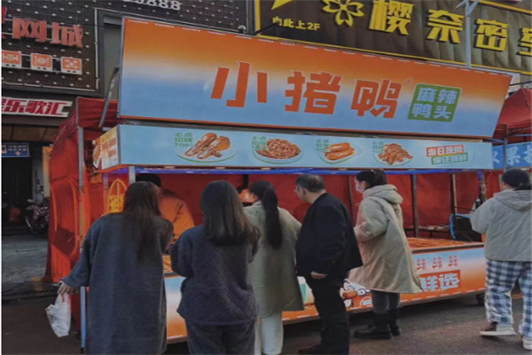 小猪鸭 小猪鸭