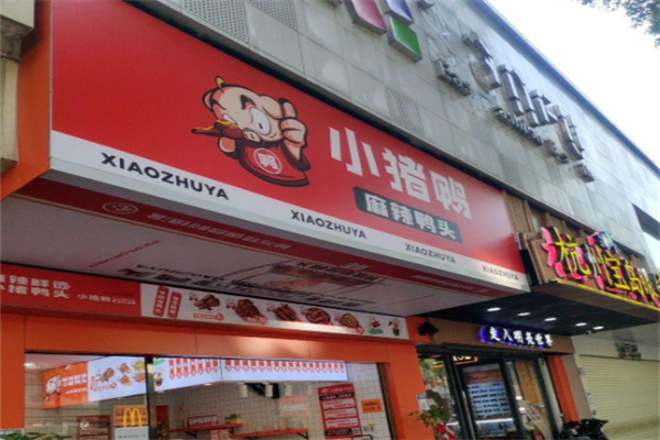 小猪鸭 小猪鸭