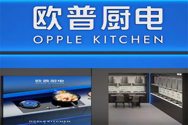 欧普厨电油烟机 欧普厨电油烟机