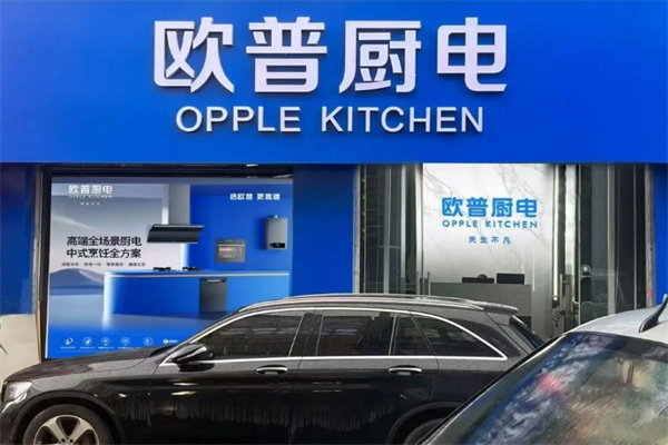 欧普厨电油烟机 欧普厨电油烟机