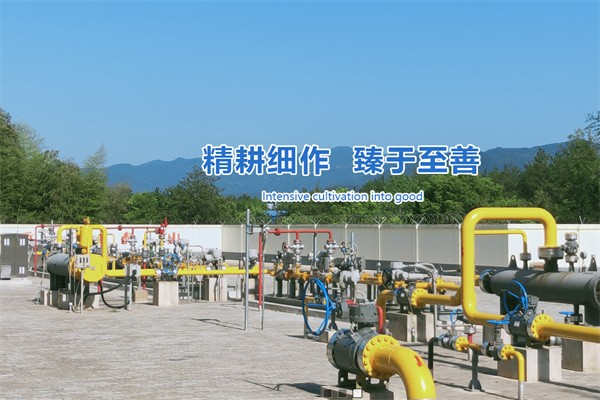 天能燃气 天能燃气