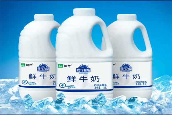 蒙牛鲜牛奶加盟