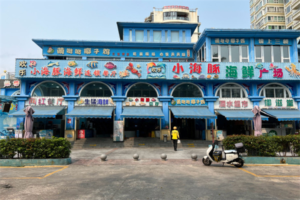 小海豚 小海豚