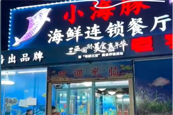 小海豚 小海豚