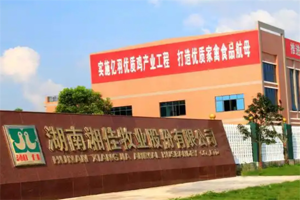 湘佳牧业养殖 湘佳牧业养殖