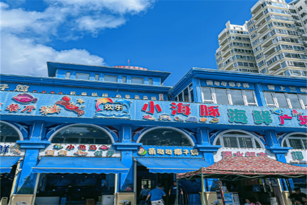 小海豚 小海豚