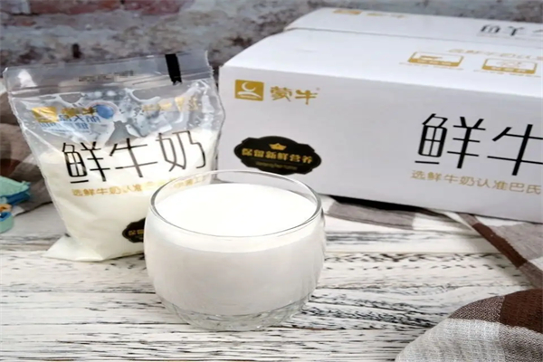 蒙牛鲜牛奶加盟