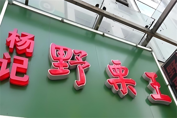 杨记野栗王 杨记野栗王