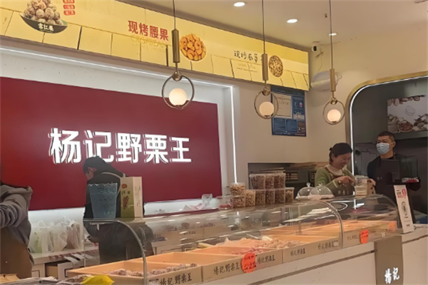 杨记野栗王 杨记野栗王