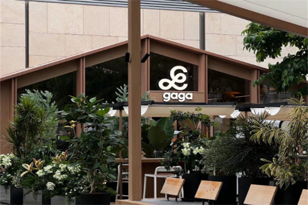 鲜语gaga面包 鲜语gaga面包
