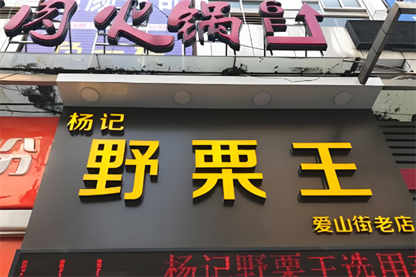 杨记野栗王 杨记野栗王
