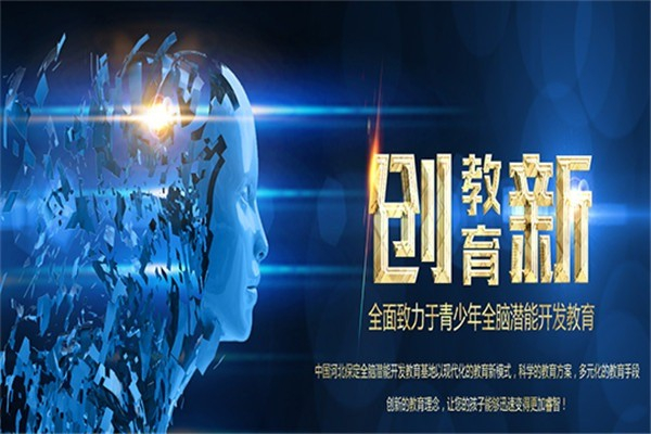 睿智脑力开发