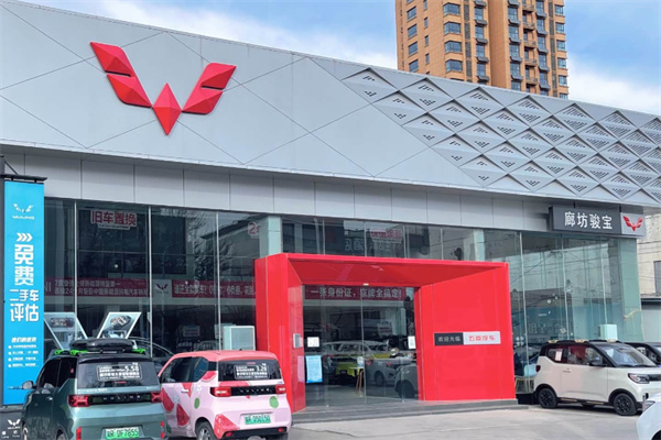 五菱新能源汽车 五菱新能源汽车