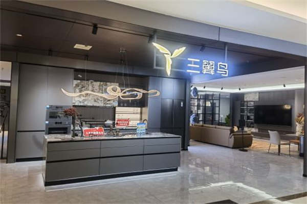 三翼鸟智能家居 三翼鸟智能家居