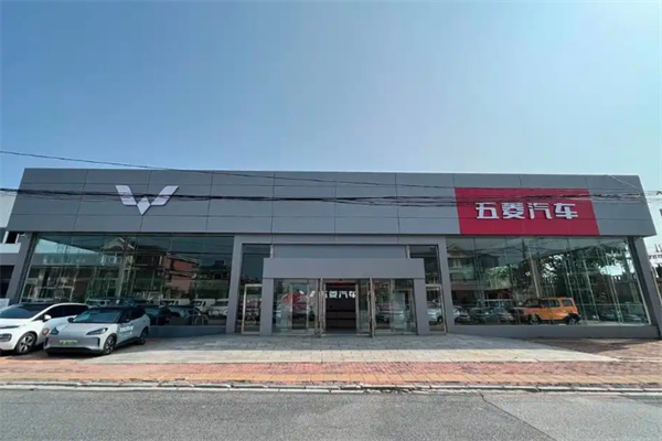 五菱新能源汽车 五菱新能源汽车