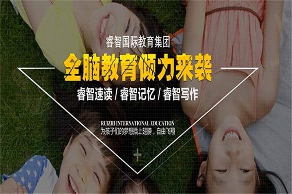 睿智脑力开发