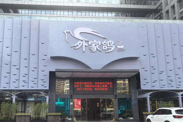 中山外家鸽