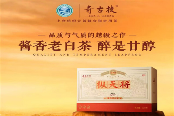 奇古枝白茶 奇古枝白茶