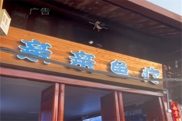 亲亲按摩鱼疗 亲亲按摩鱼疗