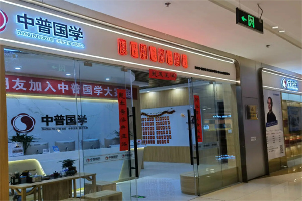 中普国学书法