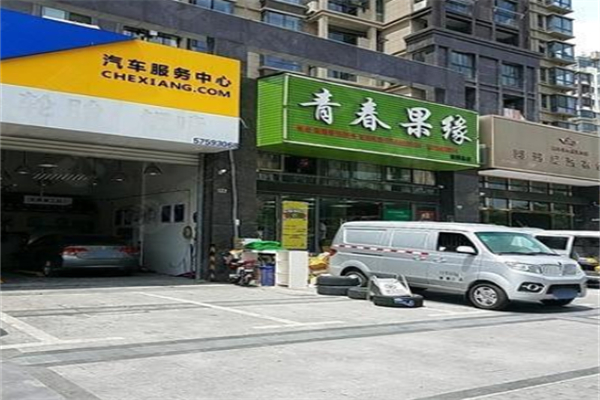 青春果缘 青春果缘